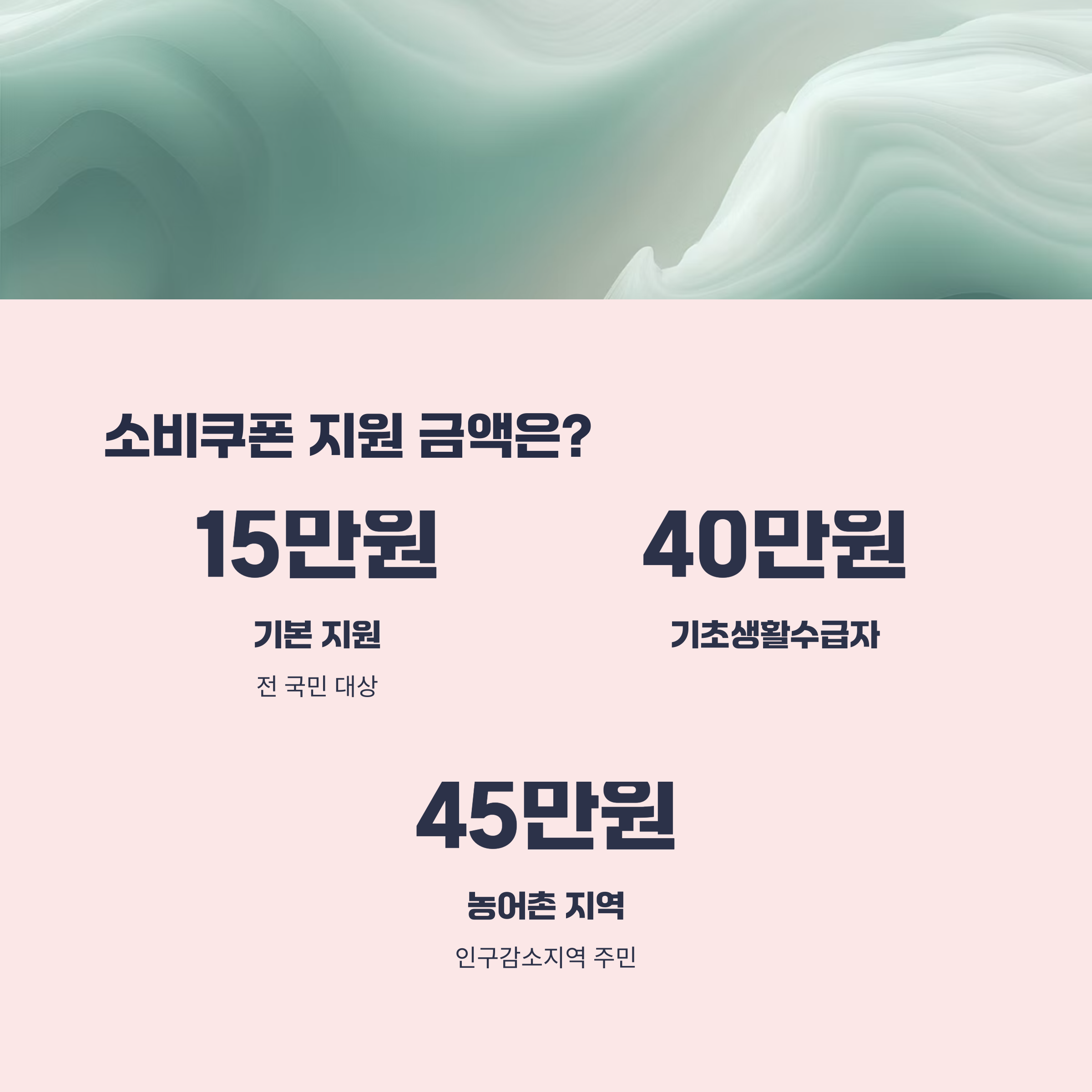 소비쿠폰, 얼마까지 받을 수 있을까?