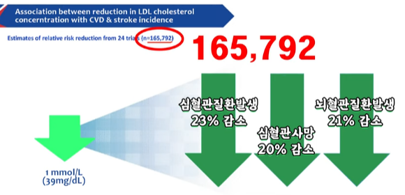 고지혈증 개선에 따른 연구 보고서
