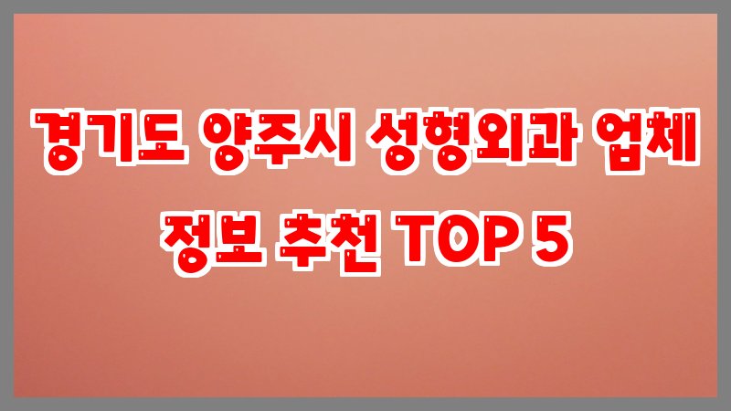 경기도 양주시 성형외과