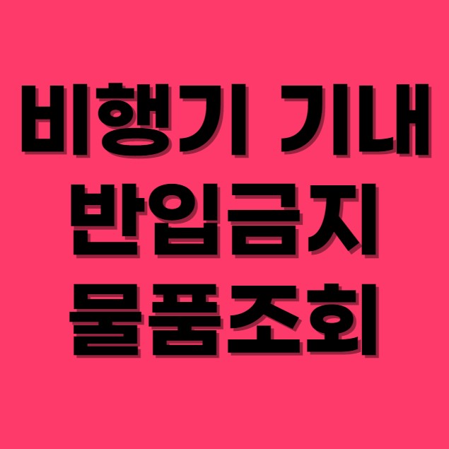 비행기 기내 반입금지 물품조회 섬네일 사진
