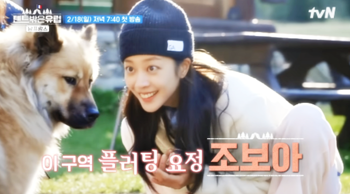 조보아