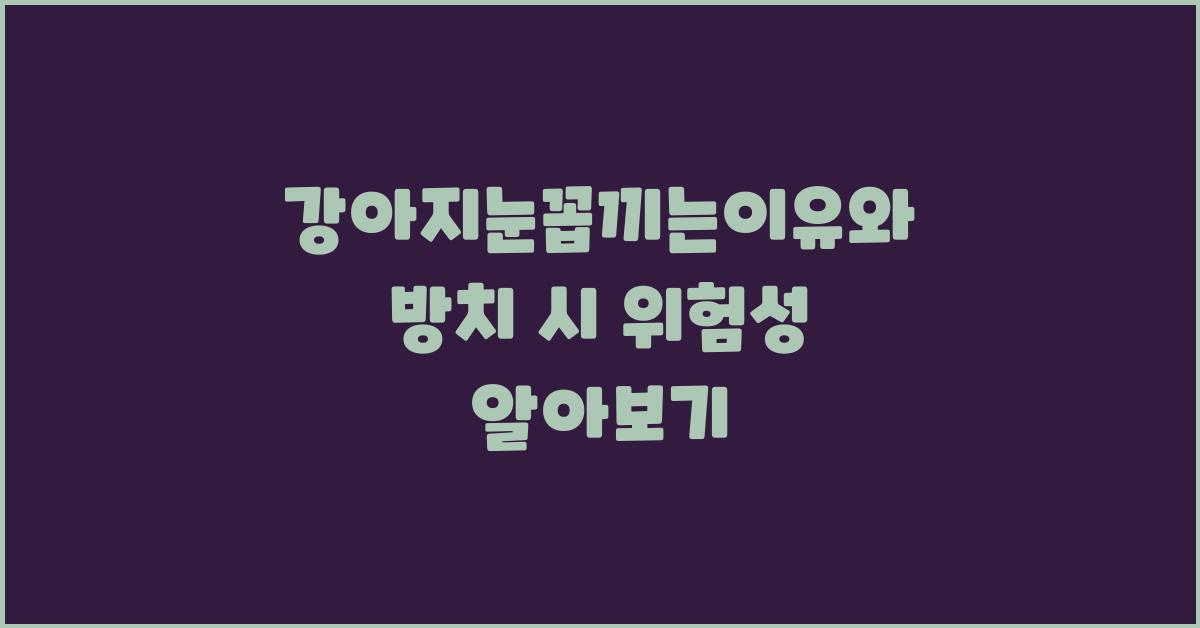 강아지눈꼽끼는이유