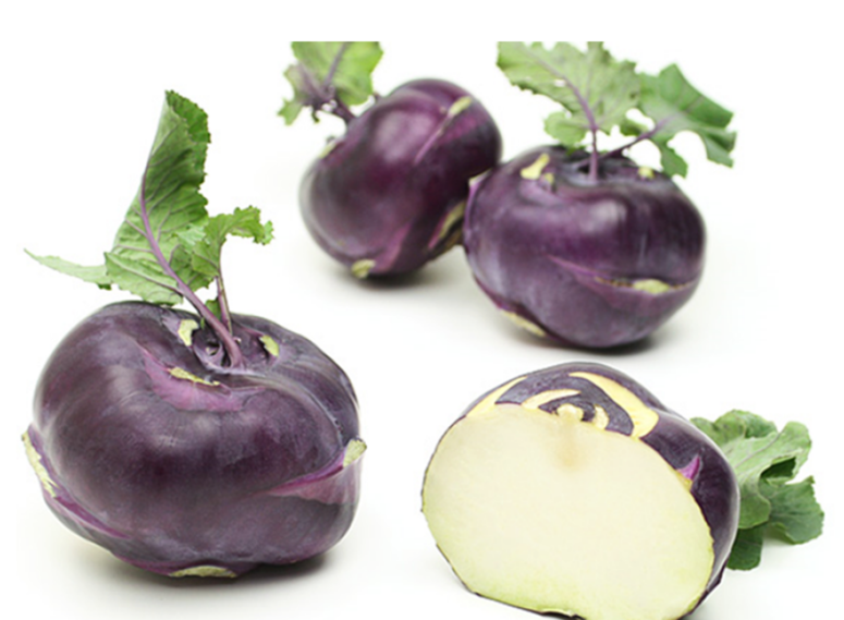 콜라비 가로 단면 