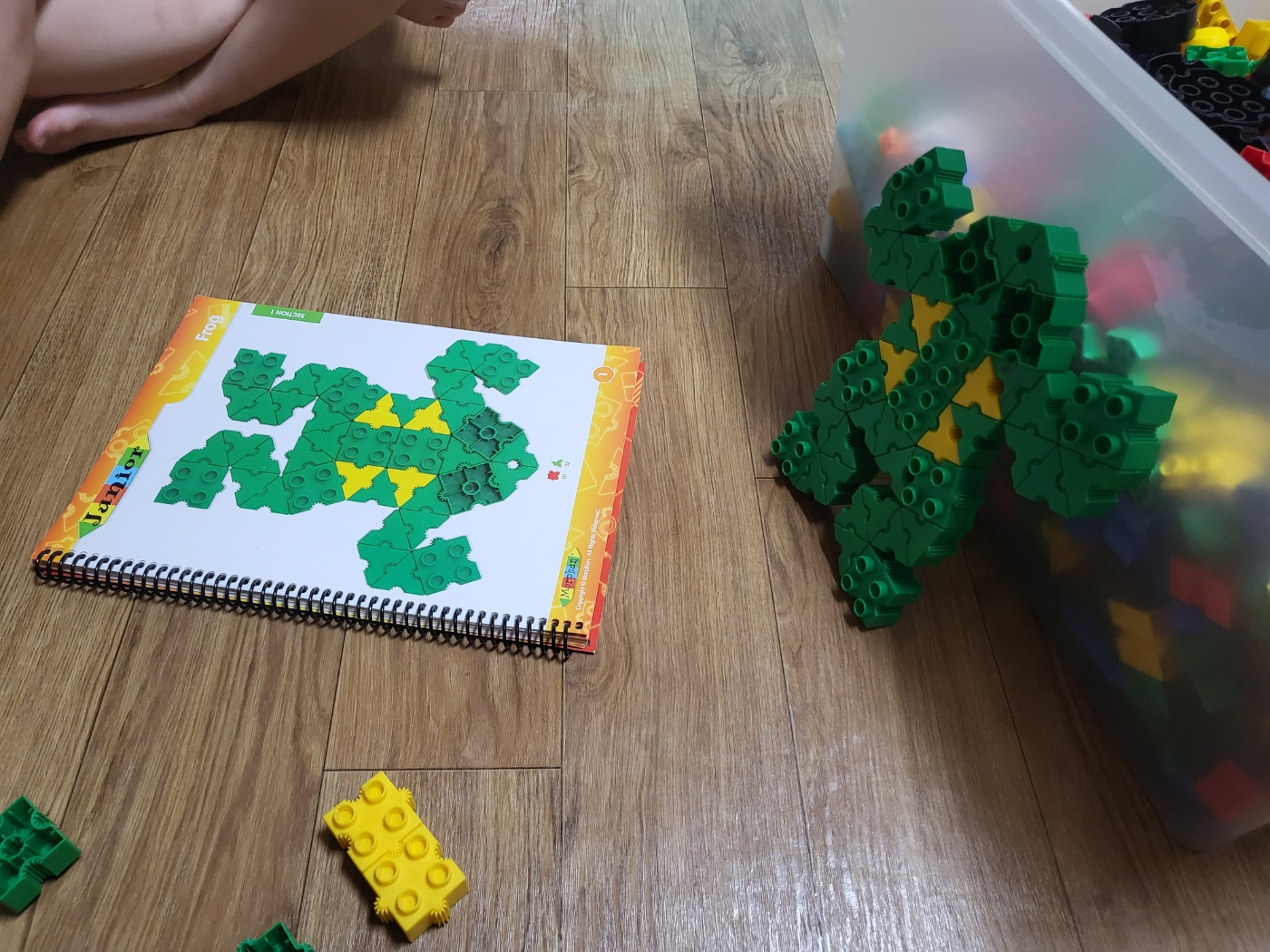 몰펀 주니어 (피카츄 만들어봐요~)