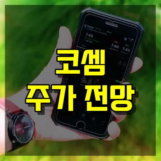 코셈 주가 전망