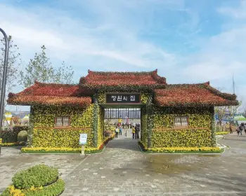 마산 가고파 국화축제_27