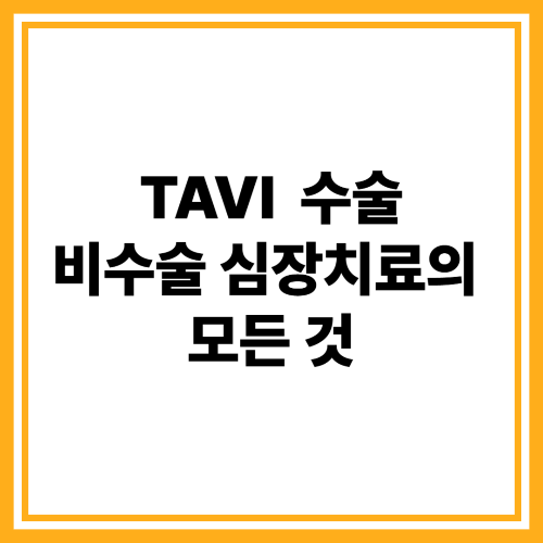 TAVI 수술이란? 고령자도 가능한 비수술 심장치료의 모든 것