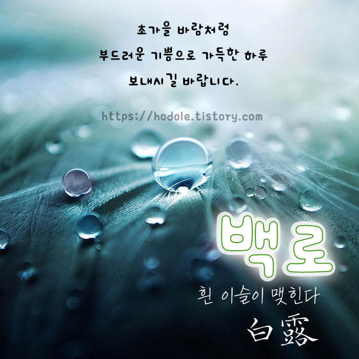 백로 인사 이미지