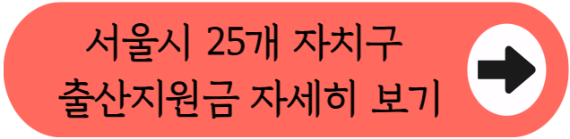 서울시 강동구 출산지원 혜택, 이거 안 챙기면 나만 손해예요!