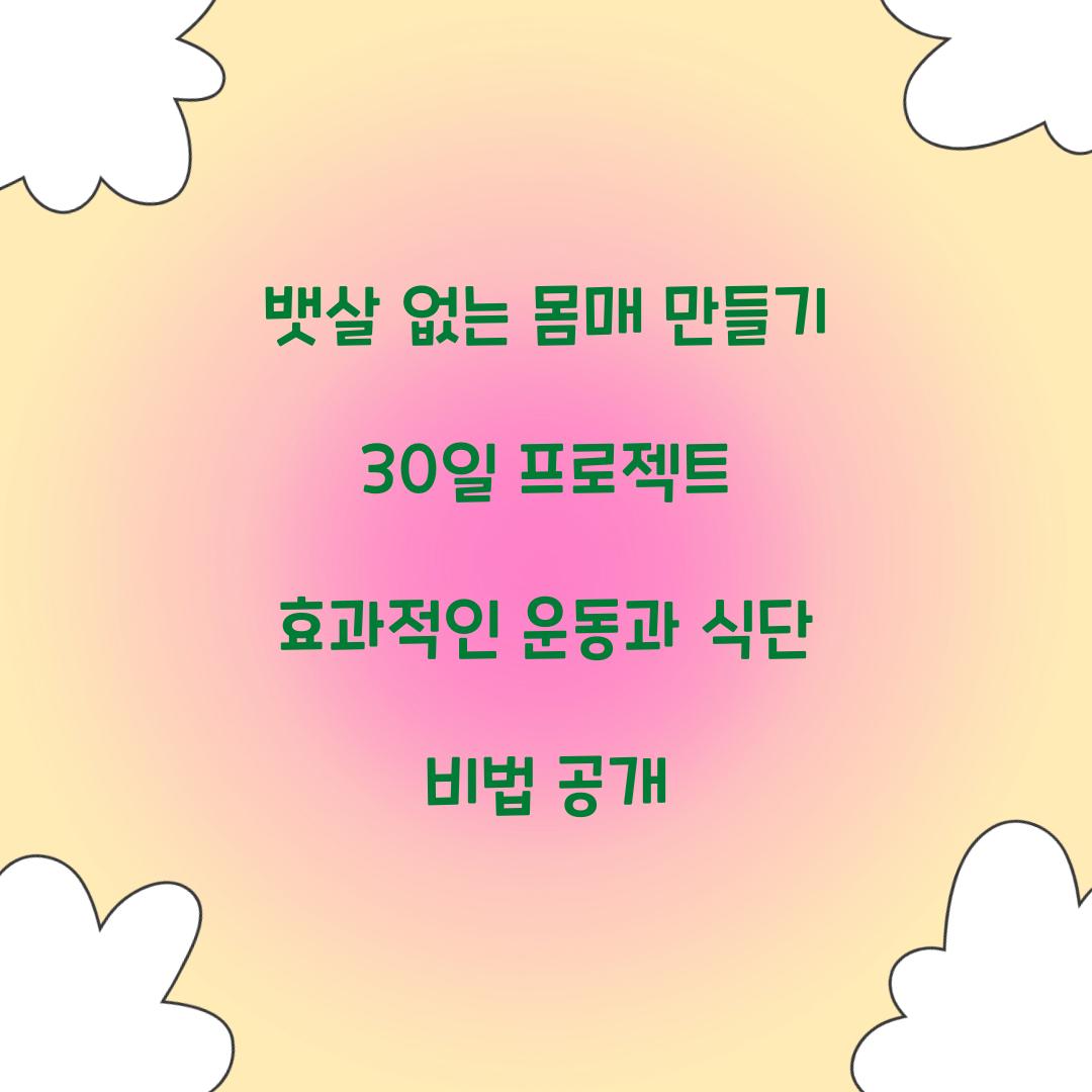 뱃살 없는 몸매 만들기 30일 프로젝트