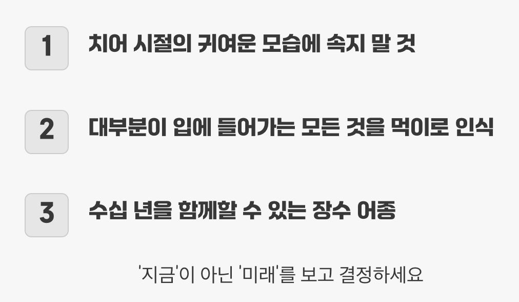 키우기 전 반드시 알아야 할 공통점