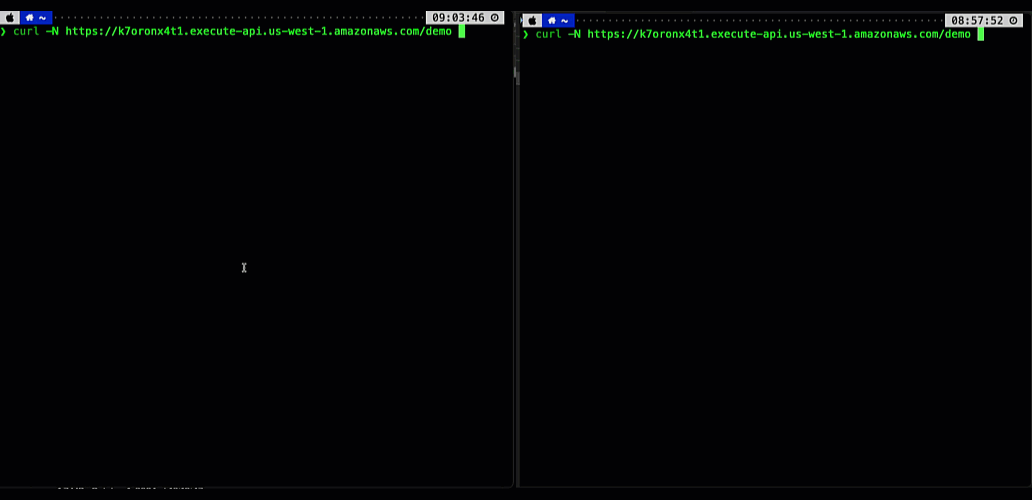 API Gateway REST API Response Streaming