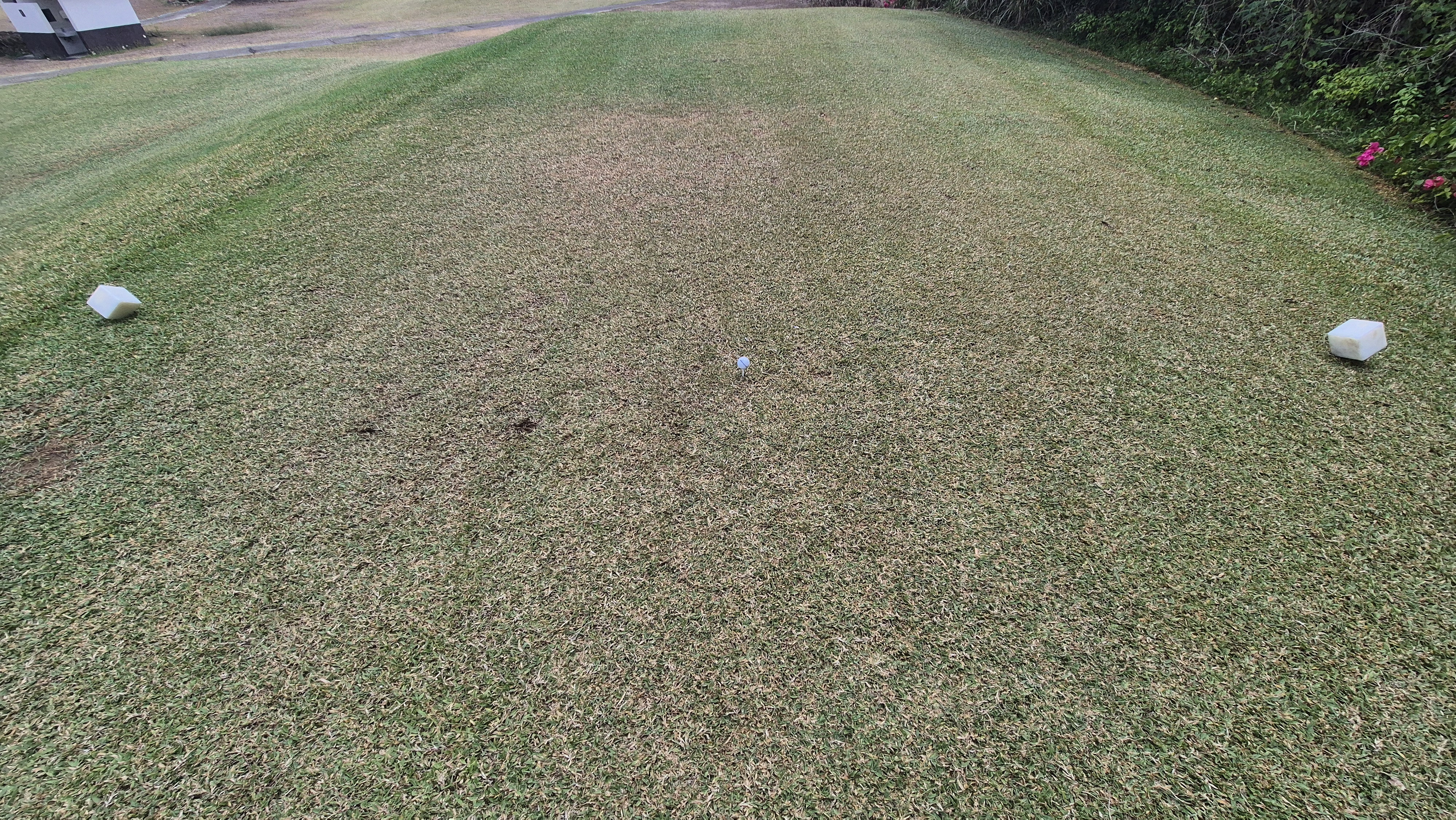 코랄오션cc 골프 라운드