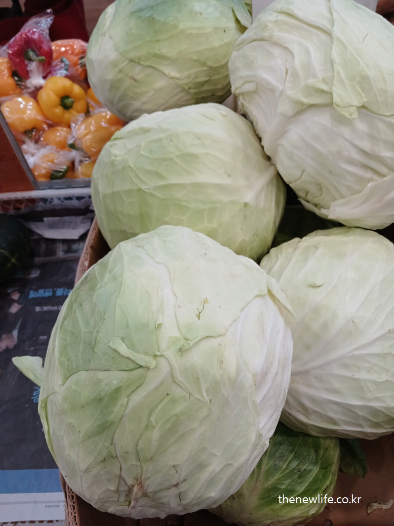 시장 진열대에 놓인 신선한 양배추 &ndash; 뱃살 빼는 최고의 음식에 실제 사용된 대표 채소입니다.
