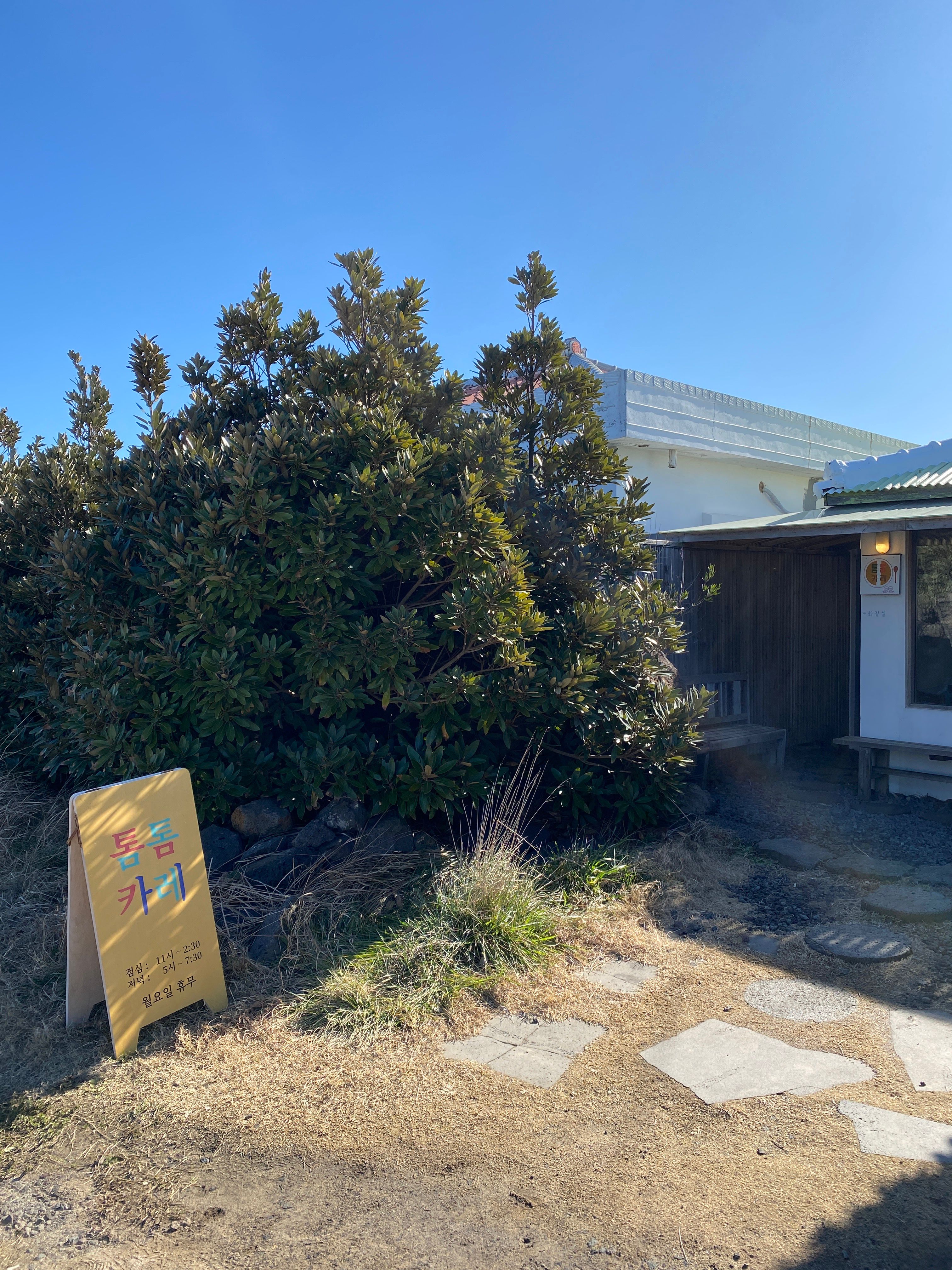 [제주도/평대 구좌 맛집] 톰톰카레_이효리 맛집