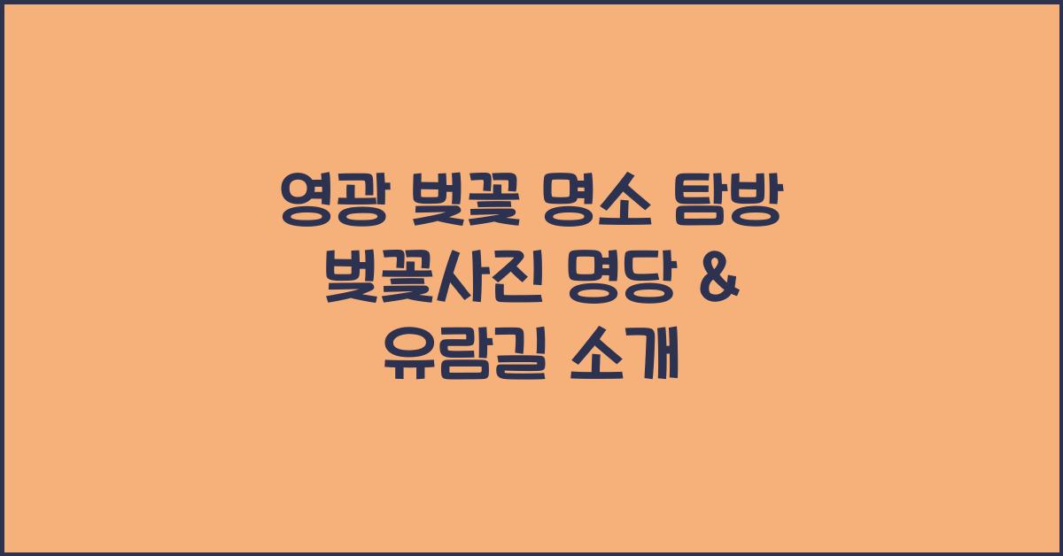 영광 벚꽃 명소