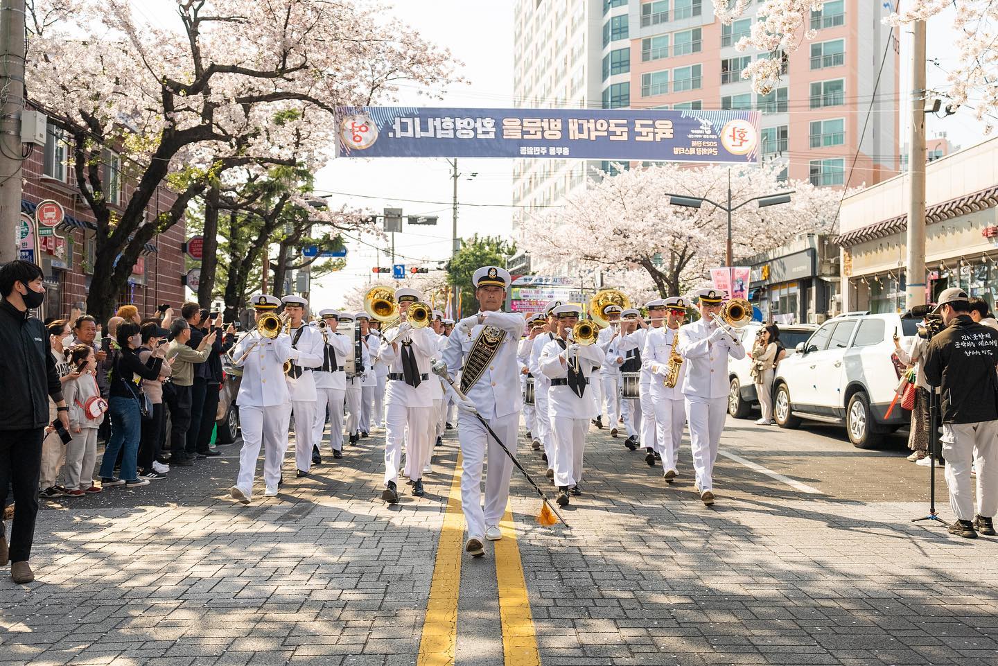 2024-진해군항제-벚꽃축제