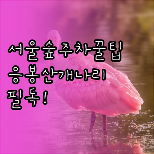 서울숲 벚꽃 축제 주차 정보와 응봉산..
