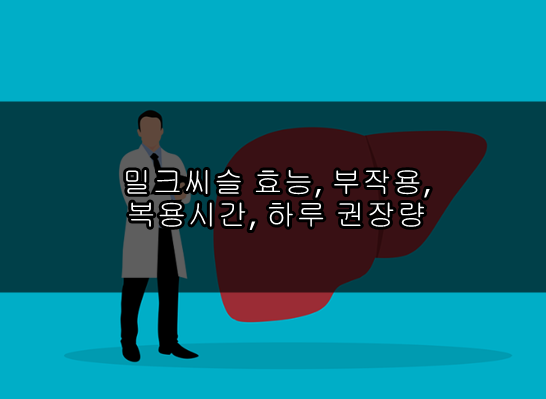 밀크씨슬 효능, 부작용, 복용시간, 하루 권장량
