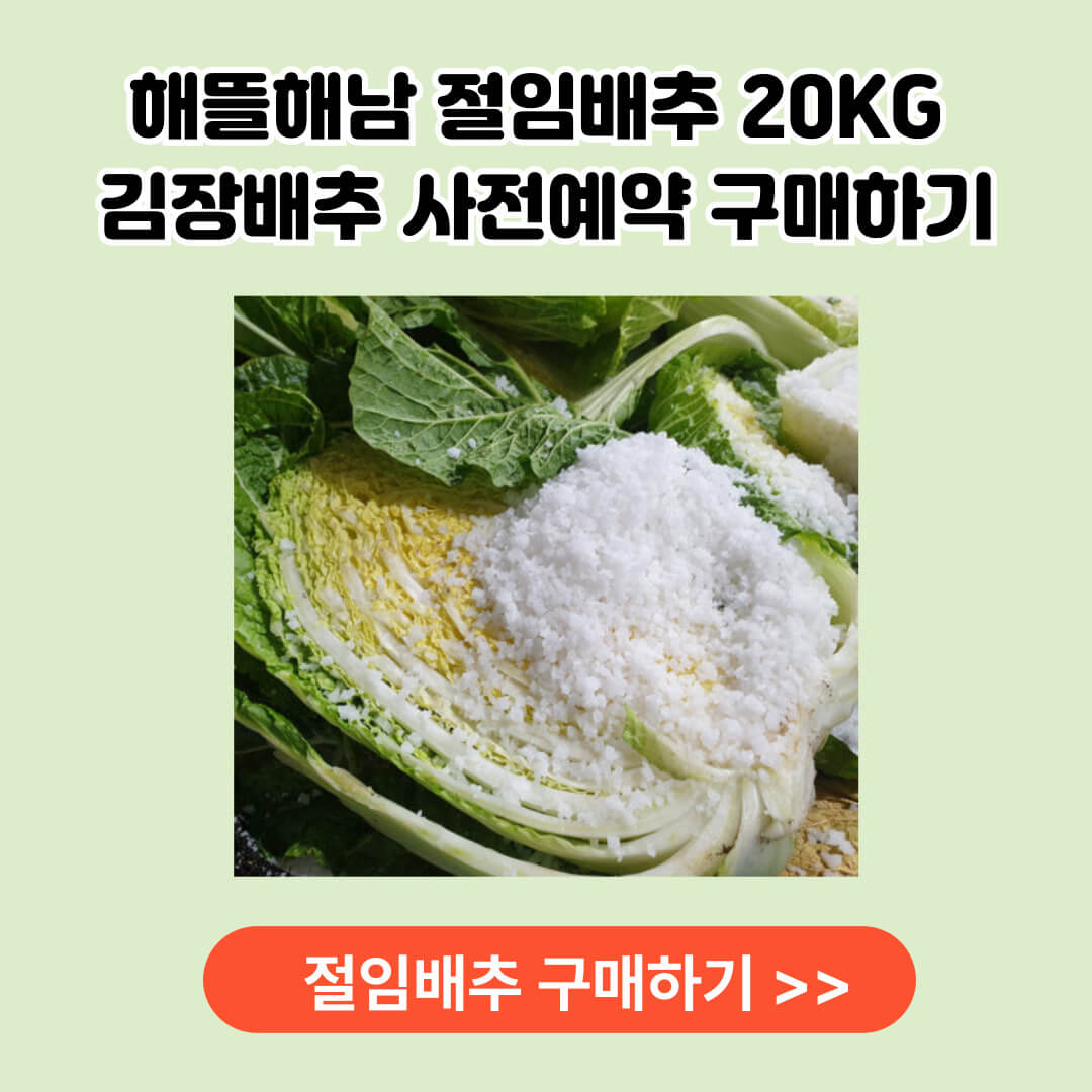 해뜰해남 절임배추 구매 알아보기