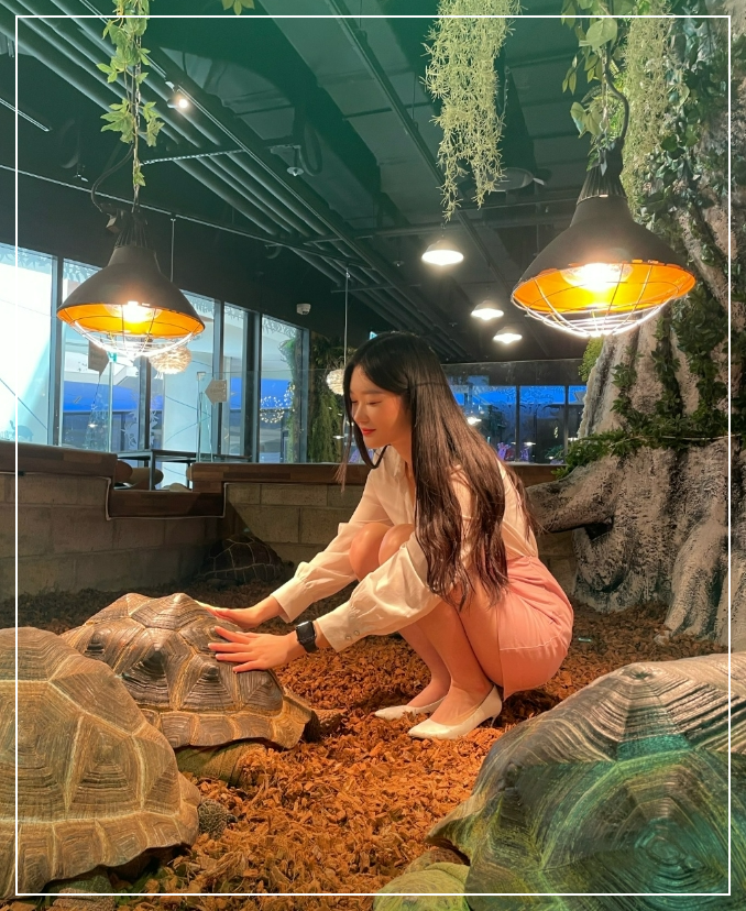 롯데시네마-판교-주차-가볼만한-곳