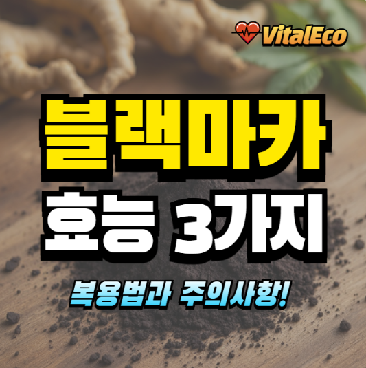 블랙마카 효능 알아보기