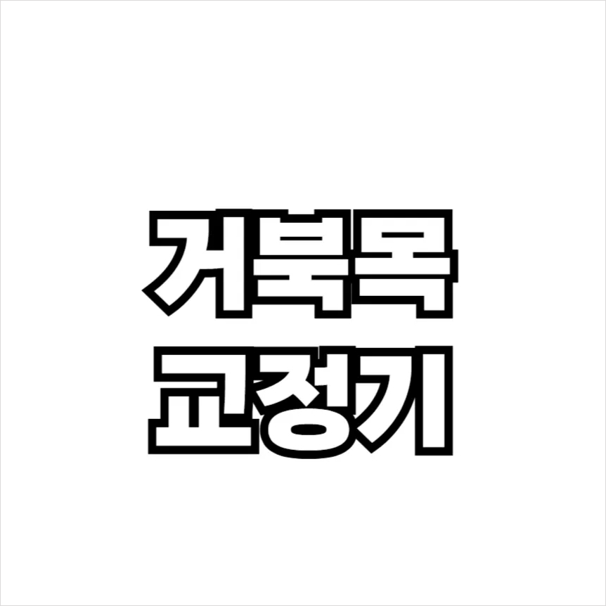 거북목 교정기
