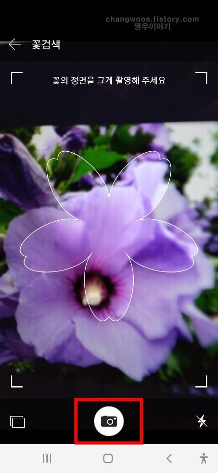 다음 꽃검색 기능 이용 방법