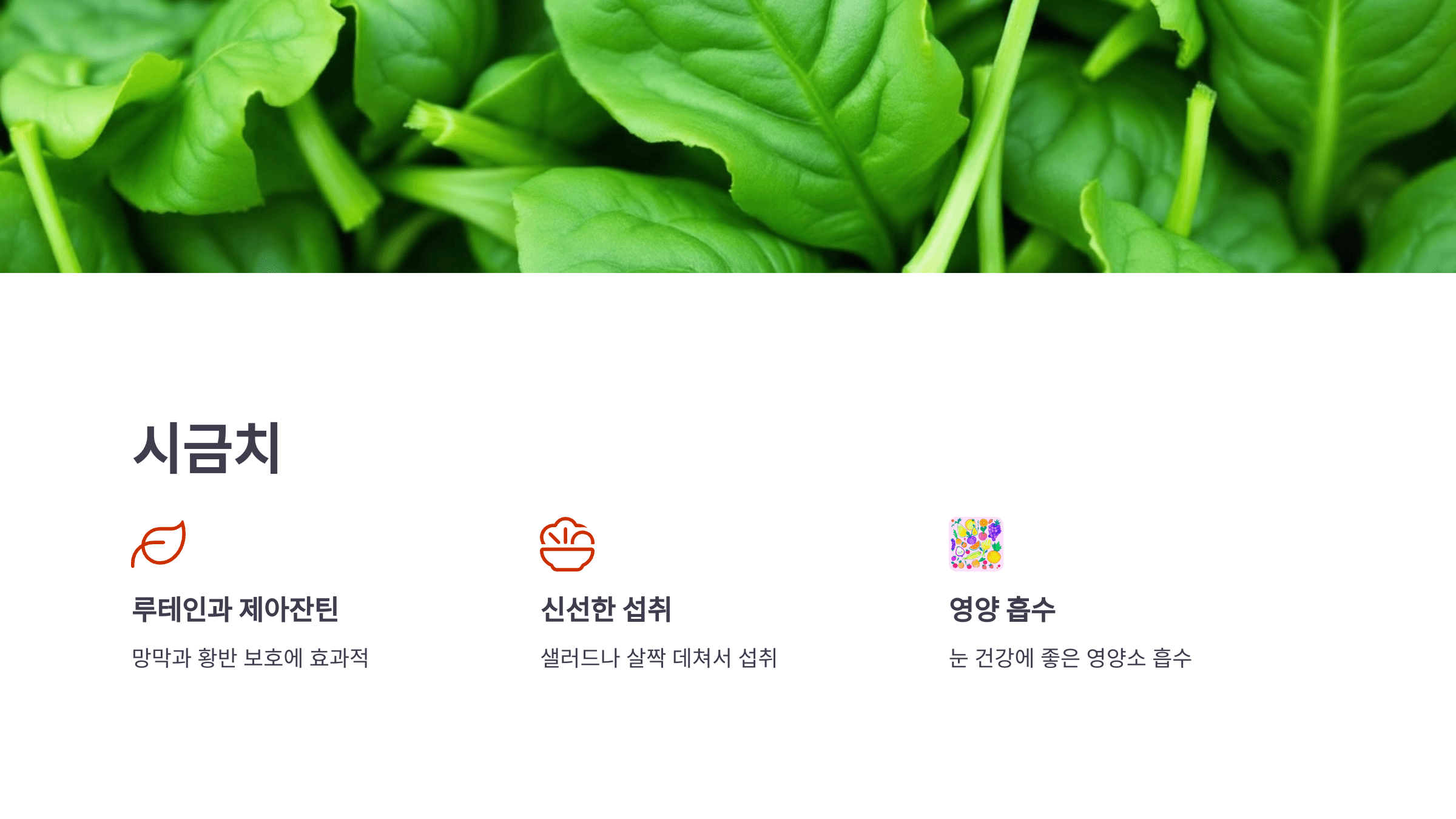 녹내장과 관련된 사진입니다.