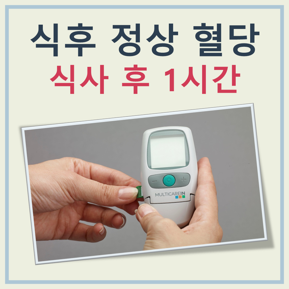 식후 1시간후 혈당 정상수치