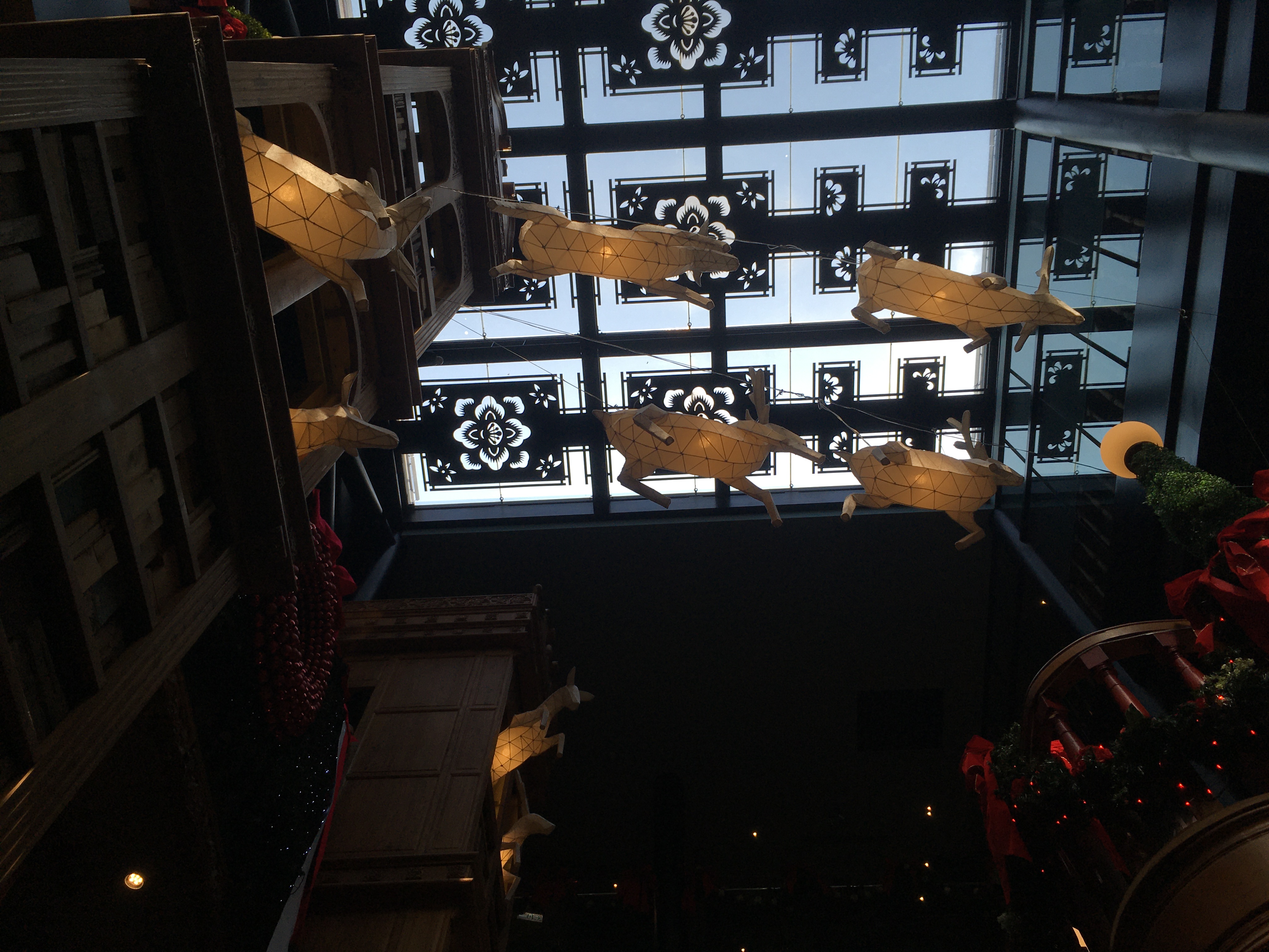 궁원안과-내부-천장