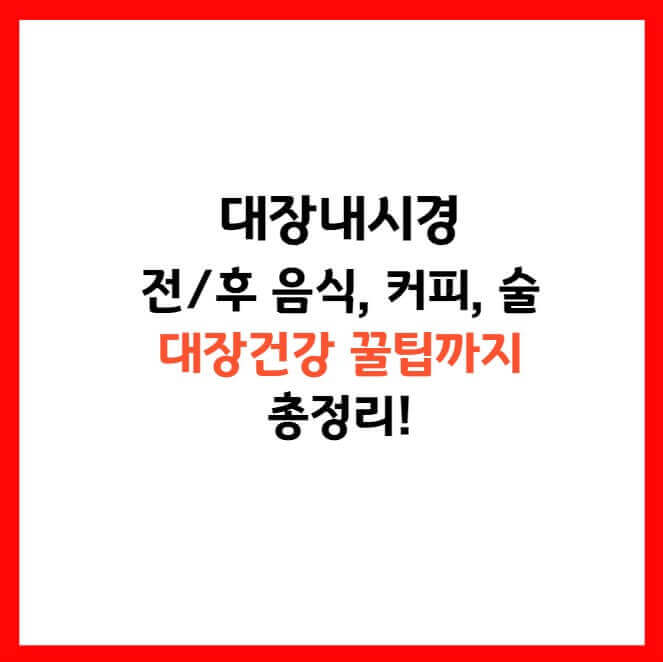 대장내시경 전날 음식