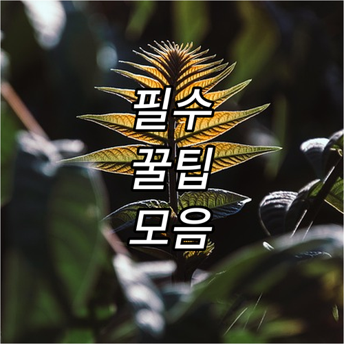 기장군 2025 나잠어업인 잠수병 진..