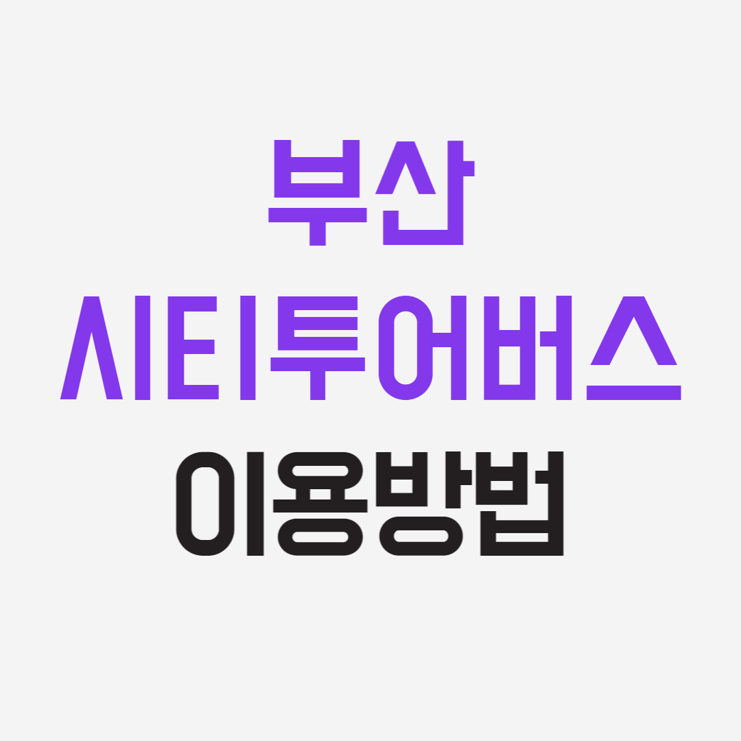 부산시티투어버스