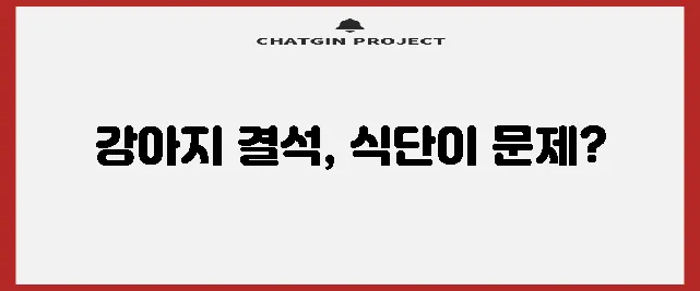 강아지 결석 유발하는 음식 건강에 정말 위험합니다!