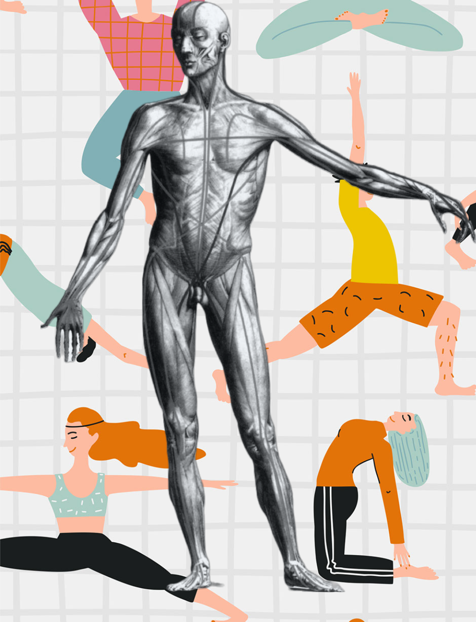 fascia
