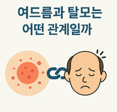 여드름과 탈모는 어떤 관계일까