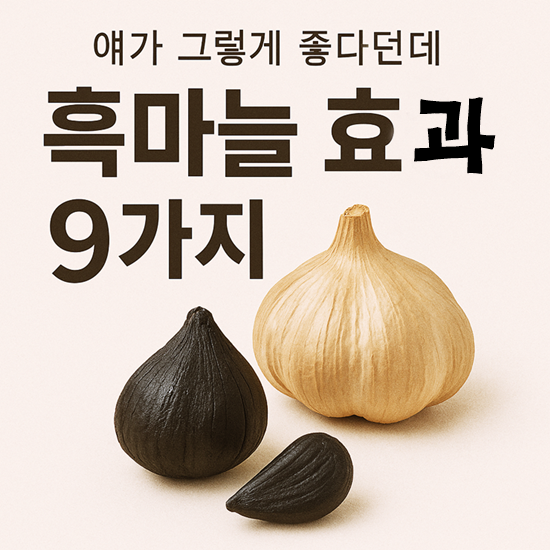 흑마늘 효능