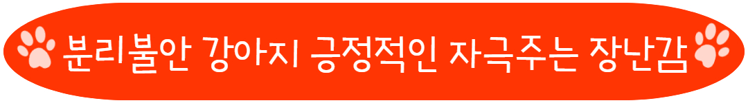 분리불안 강아지 긍정적인 자극주는 장난감