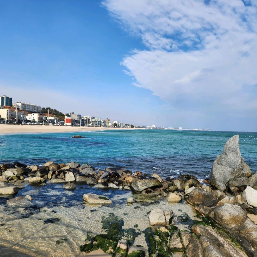 사천진해수욕장