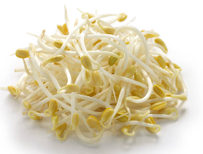 콩나물