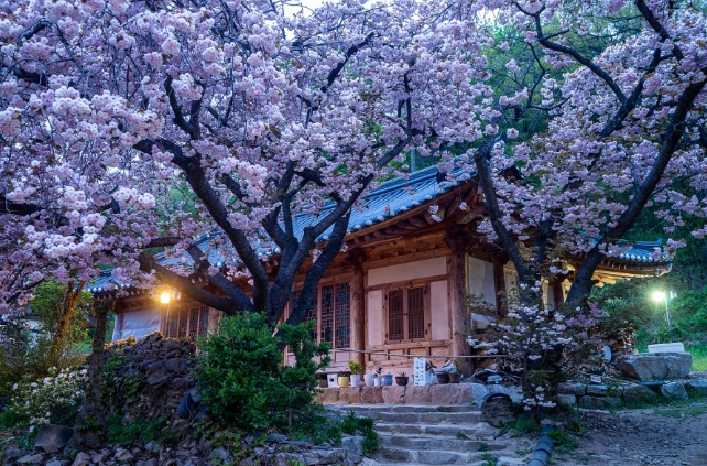 서산 생활비 + 주거비 절약 전략 — 고정비 구조를 바꾸는 현실 절약 방법