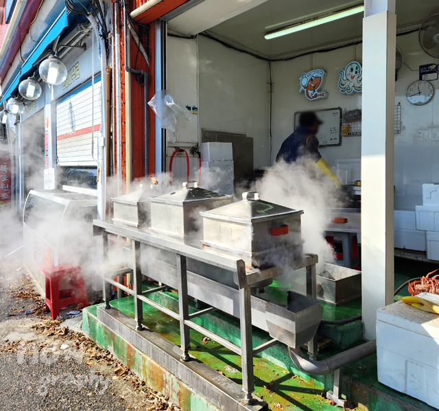 묵호항-활어판매센터