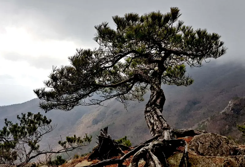 울산 영축산과 신불산