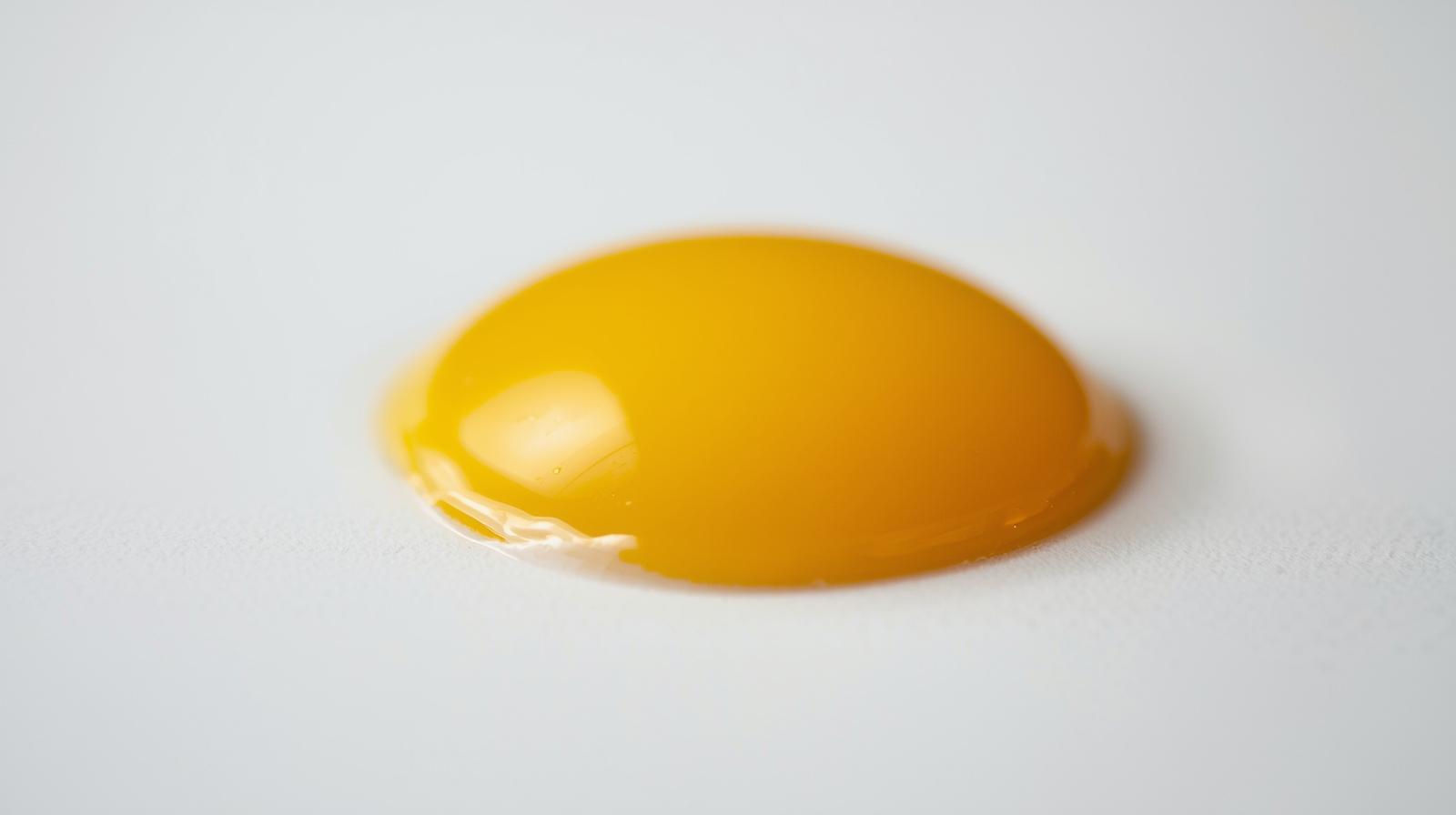 탈모에좋은음식