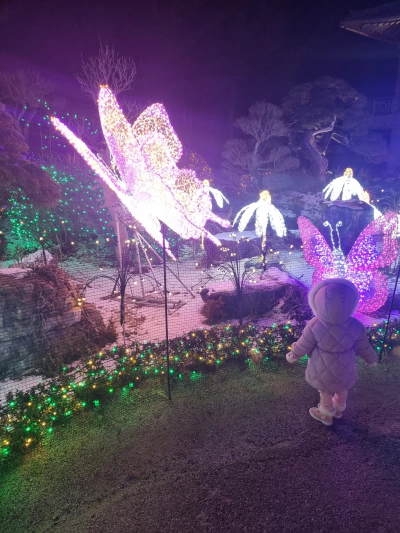 가평 아침고요수목원 빛축제 가족여행 후기