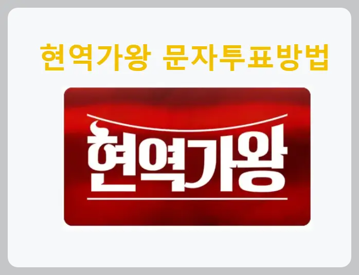 현역가왕 문자투표