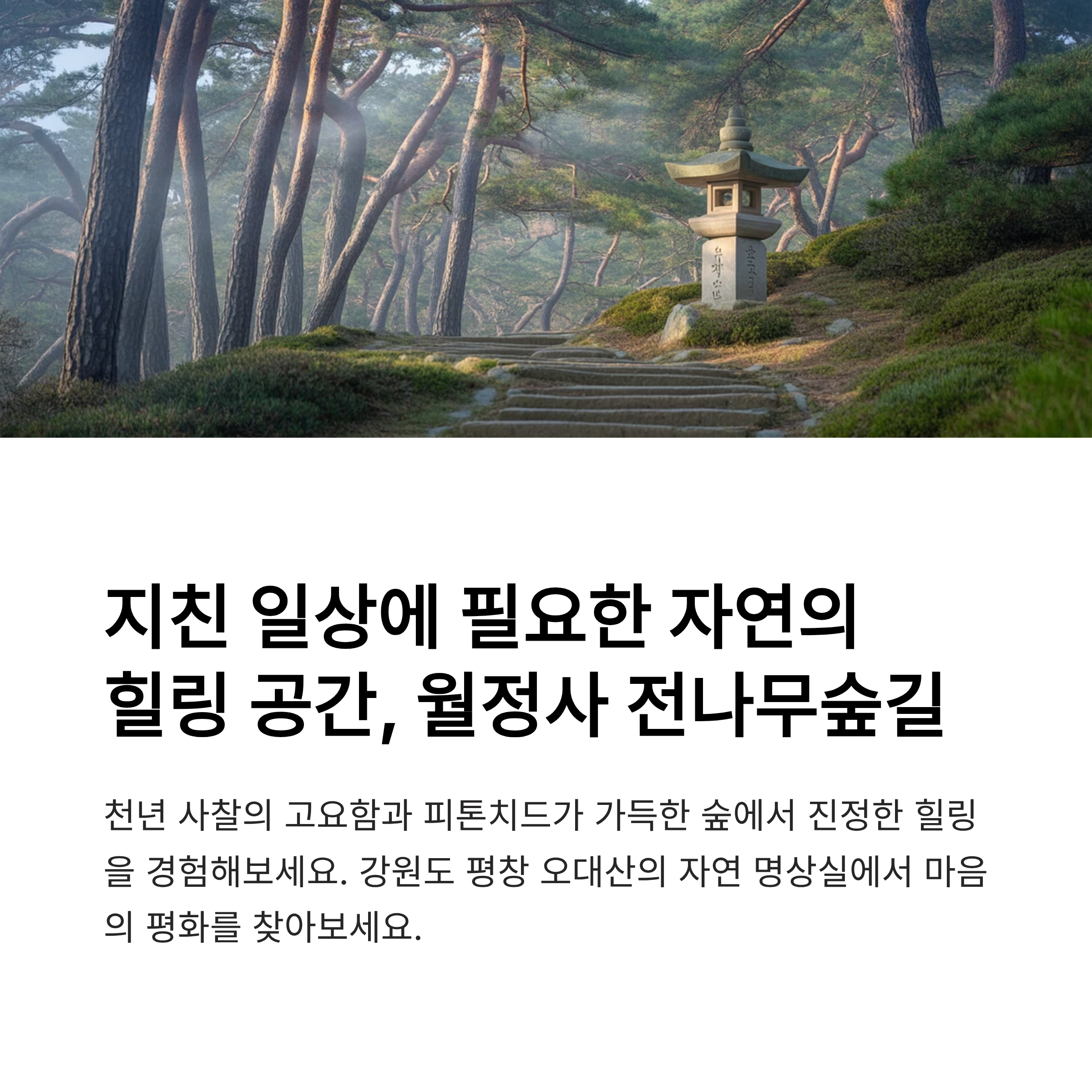 월정사 전나무숲길, 피톤치드로 힐링하기 좋은 곳