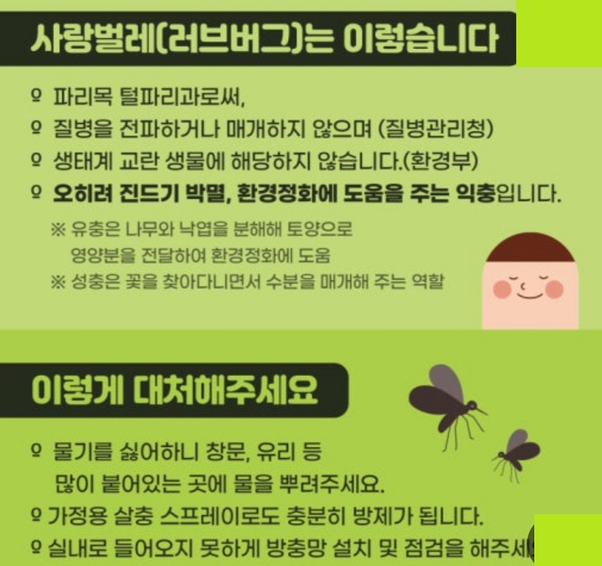 러브버그-출몰-지역