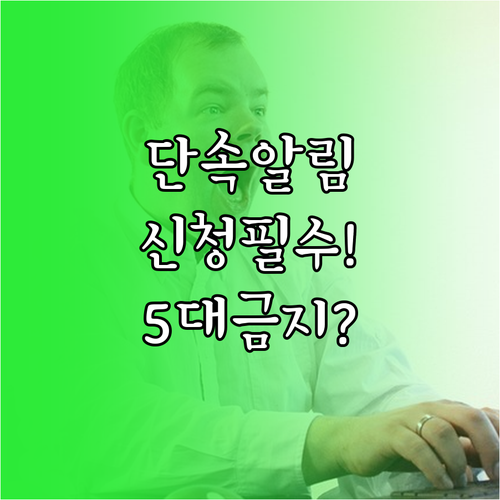 대전 중구 주정차 단속 알림 서비스 ..